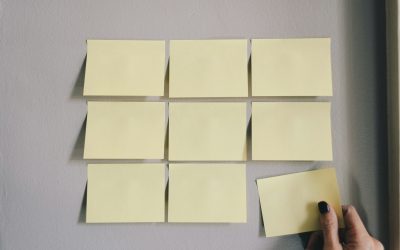 What skills and traits recruiters look for in entry level candidates and recent graduates